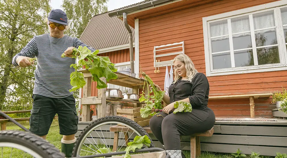 Farmi Suomi