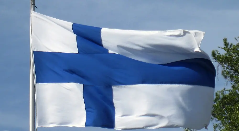 Leijonat