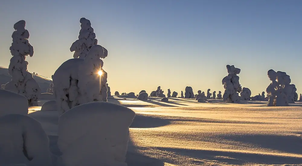 Temptation Island Suomi 9